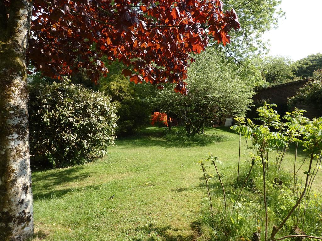 Apartmán The Potting Shed Little Torrington Exteriér fotografie